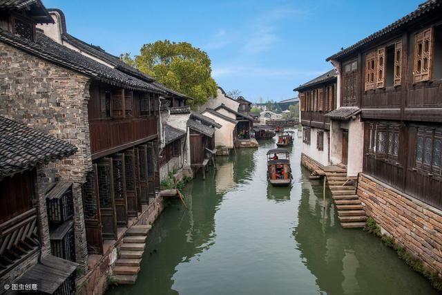 动物帮帮忙保卫家园